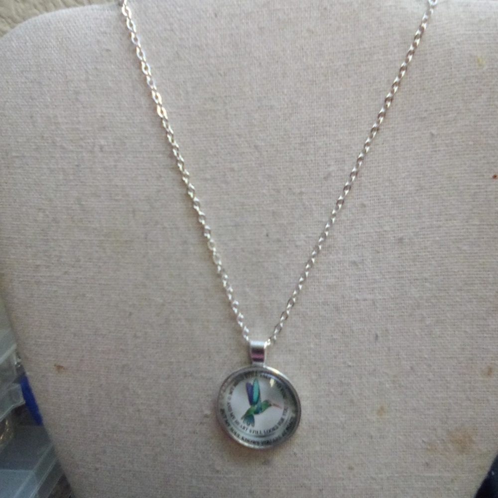 $10 New Necklace